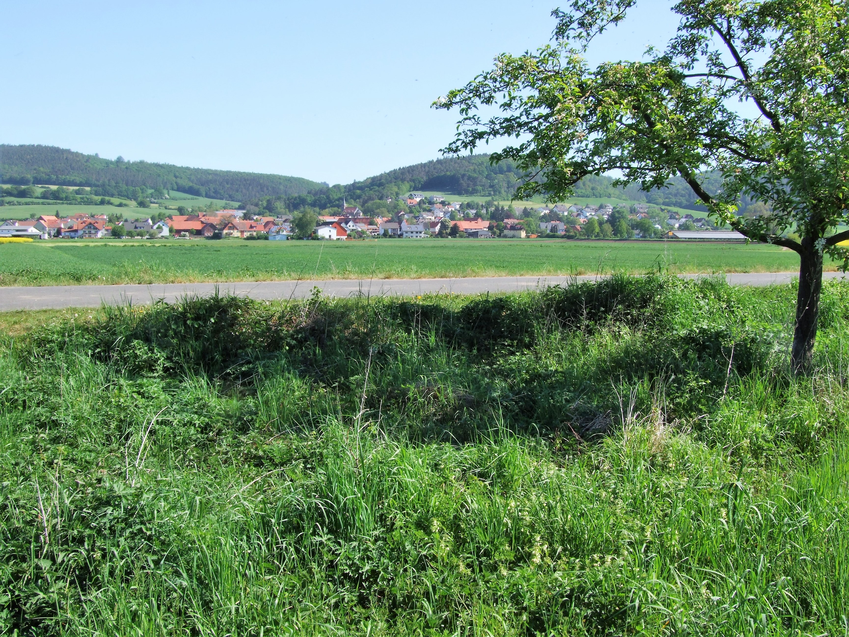 Blick vom Ederauenradweg auf das Dorf. (Foto: Uli Klein)