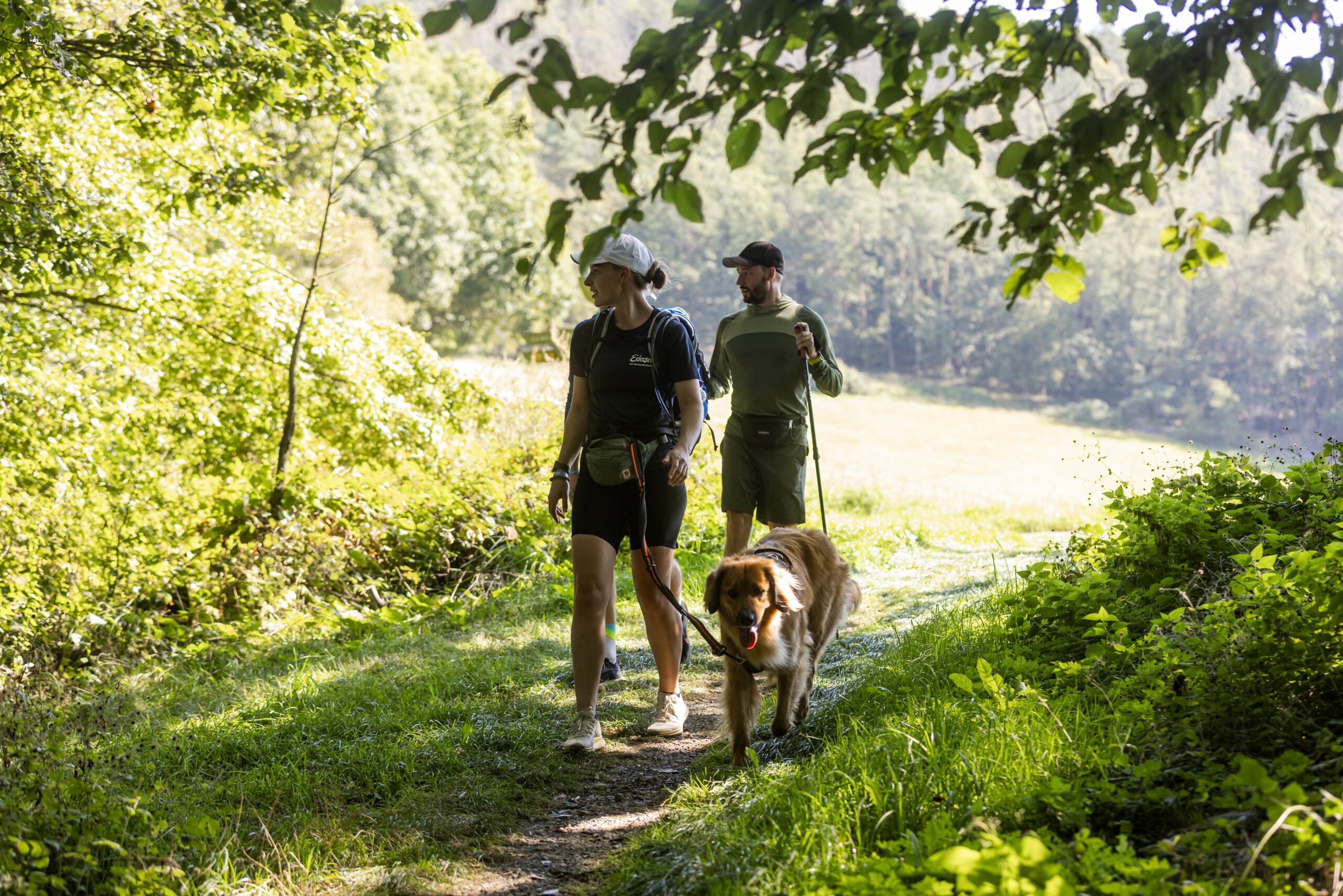 Featured image for “24-Stunden Wanderabenteuer Edersee am 12. und 13. September Naturparkführungen und Charity-Lauf ergänzen das besondere Wandererlebnis”