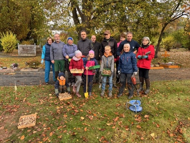 Featured image for “Wellen zeigt Gemeinschaftssinn bei Narzissenpflanzung”