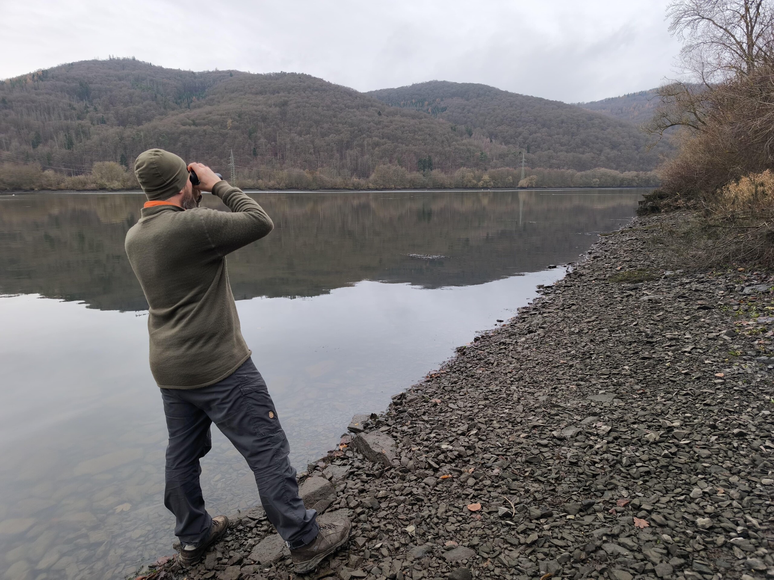 Featured image for “An Vogelgrippe erkrankte Schwäne am Affolderner See gefunden”