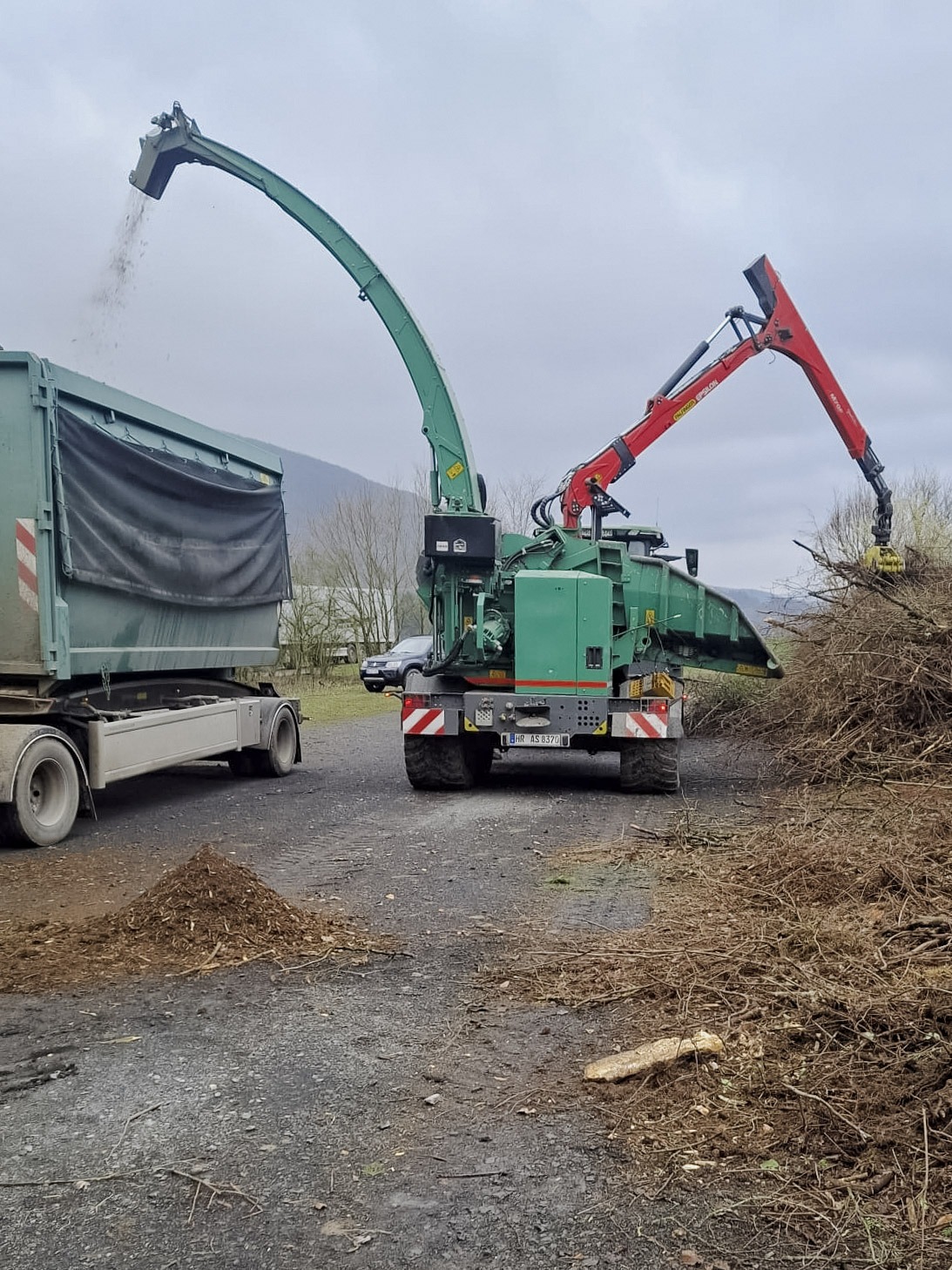 Featured image for “Nachhaltige Holzverwertung in Edertal 🌱”