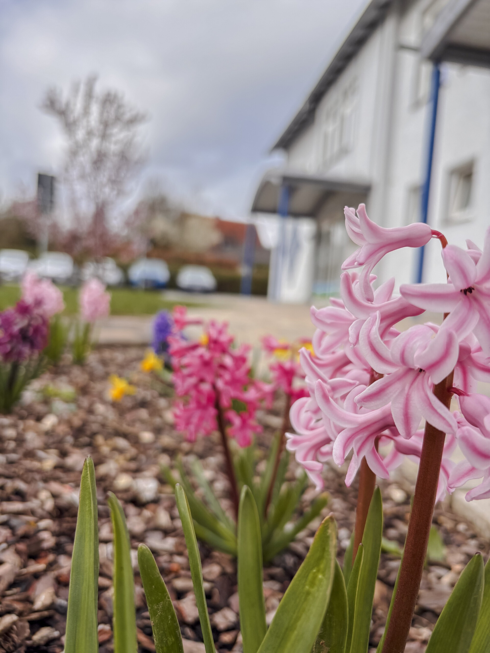 Featured image for “Ausschreibung „Aktion Generation – lokale Familien stärken“ 2026”
