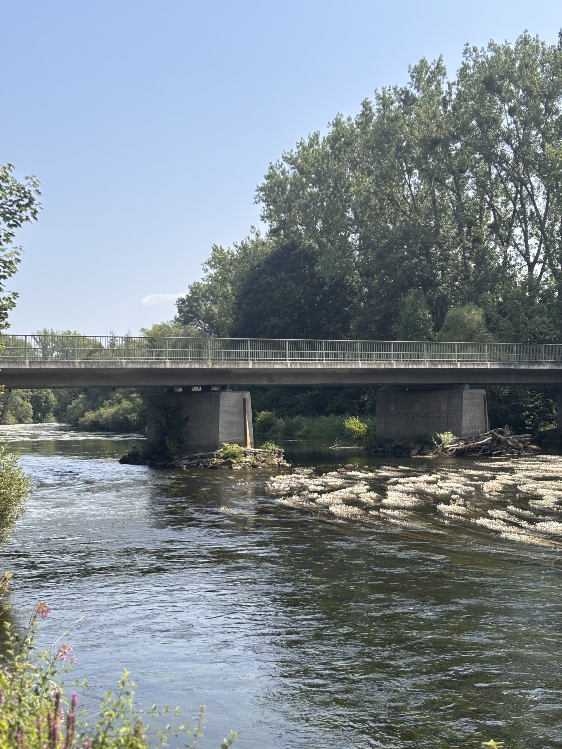 Featured image for “Vollsperrung K 33, Ederbrücke Edertal-Bergheim vom 13.07- 08. August wegen Brückenbaumaßnahmen”